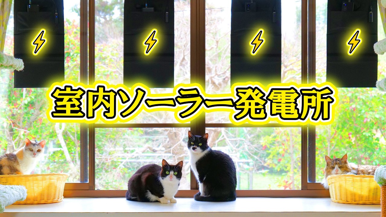 世界的エネルギー危機の今こそ各家庭ごとに小さなソーラー発電所⚡低予算で災害対策にも最適解！