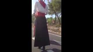 Els Gegants de Prades a la Via Catalana - El gegant del Pi