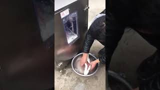 automatic fish killing and cleaning machine