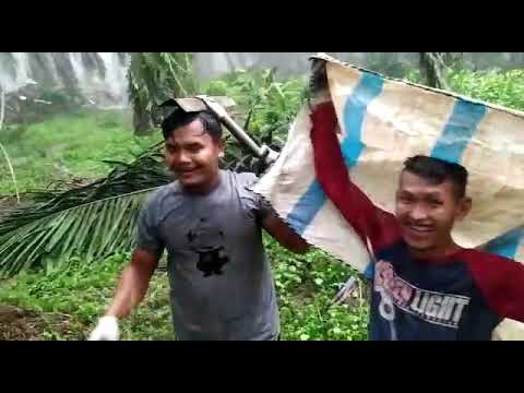 VIDEO: Hujan Es Turun di Kuansing