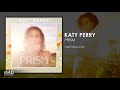 Katy Perry - Legendary Lovers