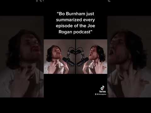 Bo Burnham summarises every episode of the Joe Rogan podcast