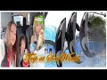 SeaWorld Spooktacular 2021 Enjoy It And You Will Have A Chance To WIN Up To 1 000 Cellphone Load