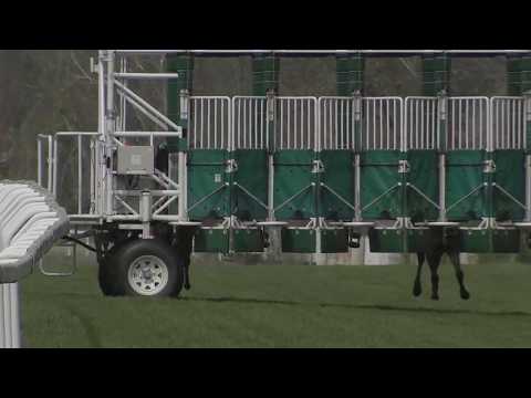 Velká dubnová cena 2018 z Chuchle ŽIVĚ na EquiTV