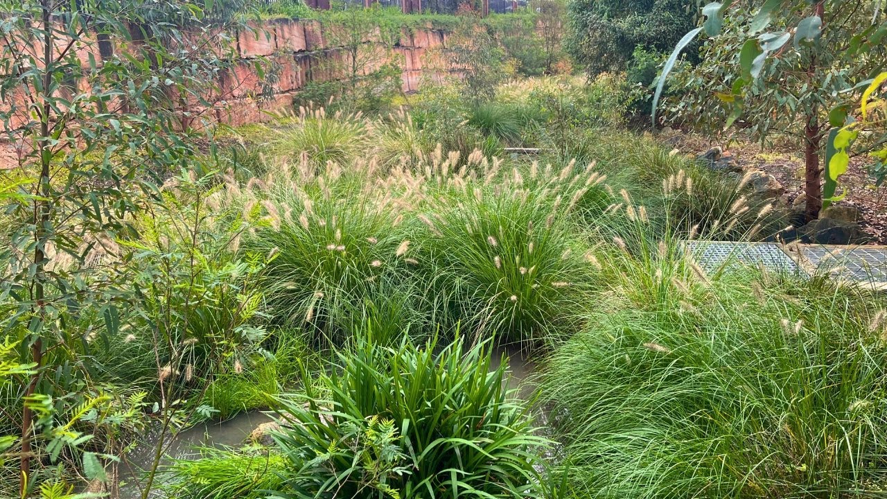 <br>Filterra® bioretention in action at Silverdale, Western Sydney, NSW