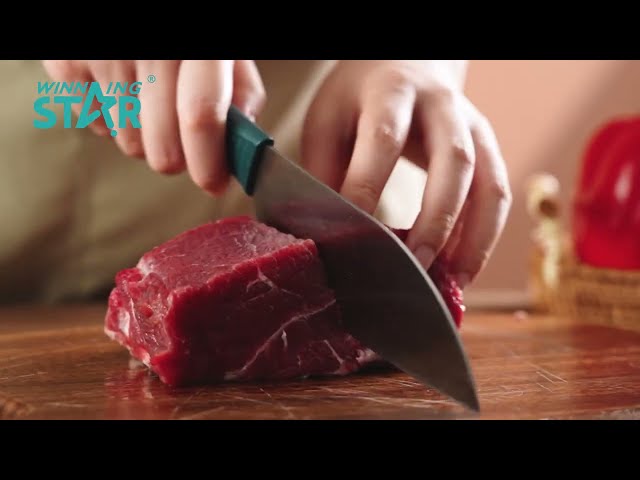 ويننج ستار فرامة لحم كهربائية , 3 أقراص طحن مختلفة , دوران عكسي , ملحق حشو النقانق , 450 واط , فضي , ST-5517