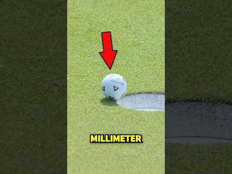 A Fly Won Him $1.5 Milion!😳🤑 (@pgatour)