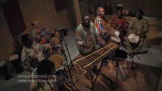 Wula Drum & Dance NYC: Music from Guinea, Africa