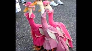 Lou Donaldson - Goose Grease *k-kat blues & jazz café*