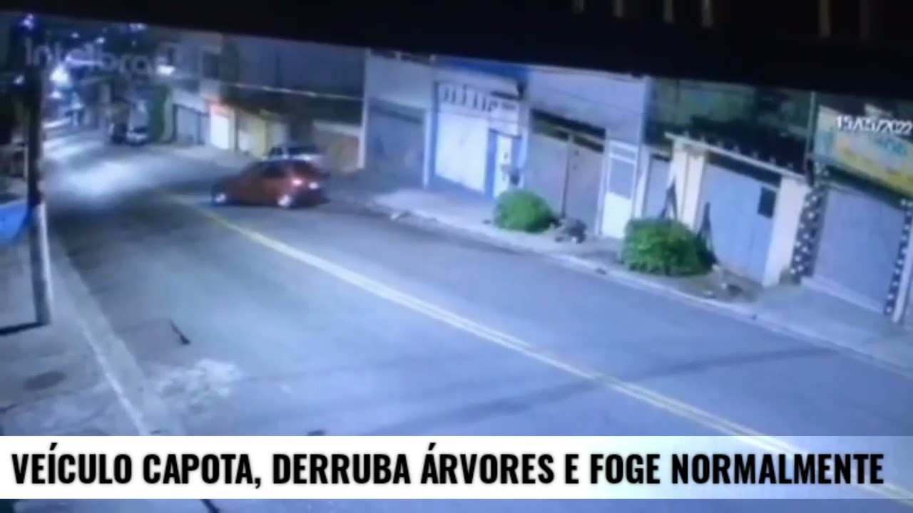 SP: Veículo capota, derruba árvores e foge normalmente