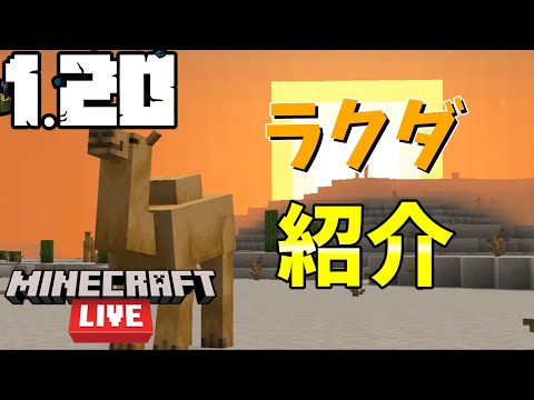 ラクダについて詳しく解説