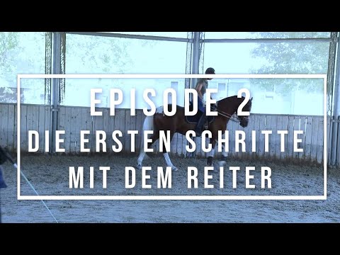 JUNGPFERD ANREITEN - Ep. 2: Die ersten Schritte mit dem Reiter