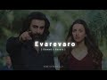 Evarevaro Animal Lofi Slowed Reverb