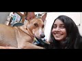 Kissing My Dog Too Many Times Funniest Video Ever Try Not To Laugh