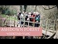 Ashdown Forest Vlog Winnie The Pooh Country