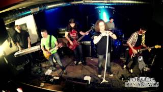 Doghouse by Almost Europe (Live at Pousada das Animas)
