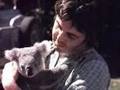 Summer's Day Song - Paul McCartney