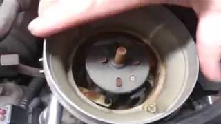 Distributor install in a 5.0L Ford Mustang