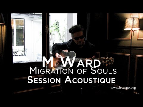 #1071 M Ward - Migration of Souls (Session Acoustique)