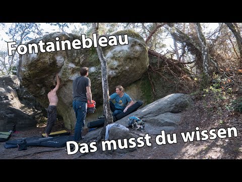 Bouldern in Fontainebleau - das solltest du wissen | Tipps