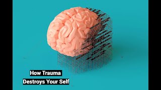 Download lagu How Trauma Destroys Your Sense of Self (PTSD Literature Review) mp3