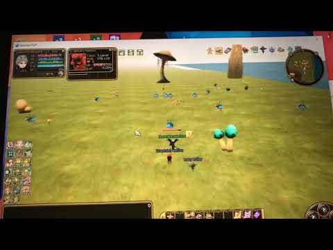 Insanity Flyff 2019 penya booster, penya farming