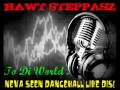 NEW BUSY SIGNAL BARE TINGSSTEP OUT RIDDIM HAWT STEPPASZ 2009