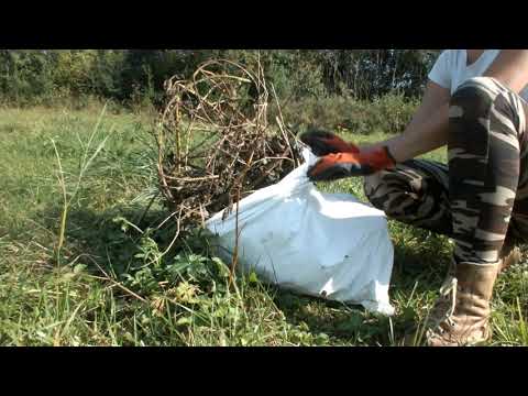 Preparing compost from wood chips and grass
