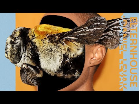 Elternhouse & Daniel Levak - Sho [WAF008]