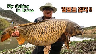 2024 fly fishing EP3 - 새로운 곳에서 만난 괴물. (잉어 플라이 낚시)