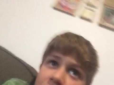 Why fox killed fives