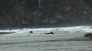 preview picture of video 'Neskowin Oregon Coast'