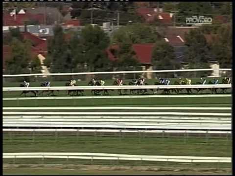 Shadows in the Sun_SA Derby_Gr1_Morphetville_08.05.11_2500m