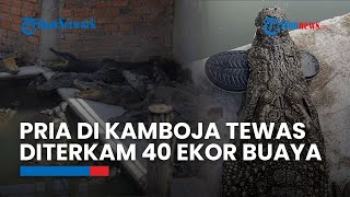 Pria di Kamboja Tewas Dimangsa 40 Ekor Buaya Gegara Jantuh ke Kandang, Tubuh Tercabik-cabik