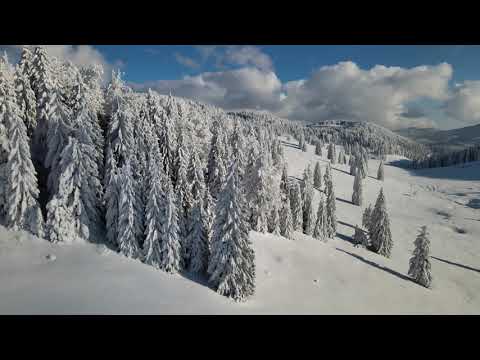Padis | Parcul Natural Apuseni | Muntii Apuseni