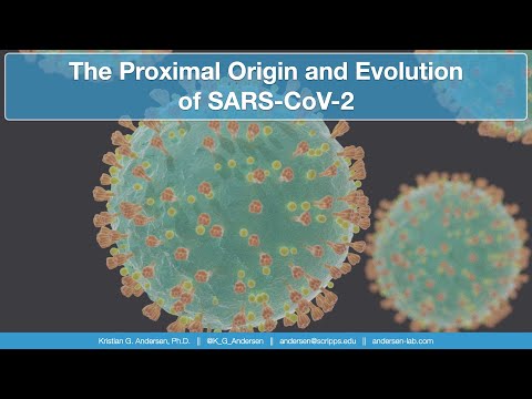 The Proximal Origin and Evolution of SARS-CoV-2