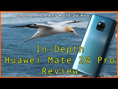 Huawei Mate 20 Pro Review - feature demos and real world sample photos
