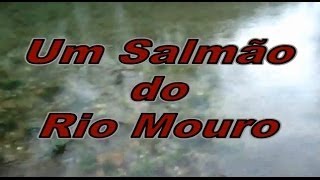 preview picture of video 'Com um salmão do Rio Mouro preso na cana!!'