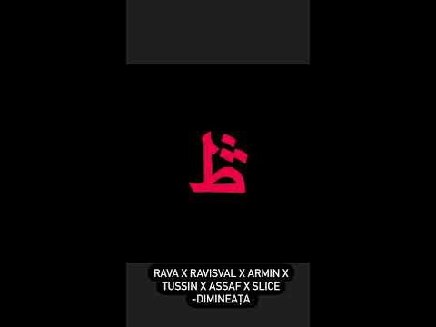 RAVA X RAVISVAL X ARMIN X TUSSIN X ASSAF X SLICE -DIMINEAȚA