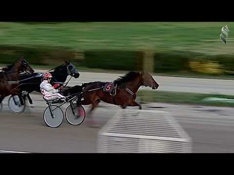 Aversa trotto 11 Gennaio 2023 - 7° corsa