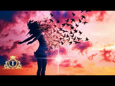 Elon Sarafian - Hay Axjik