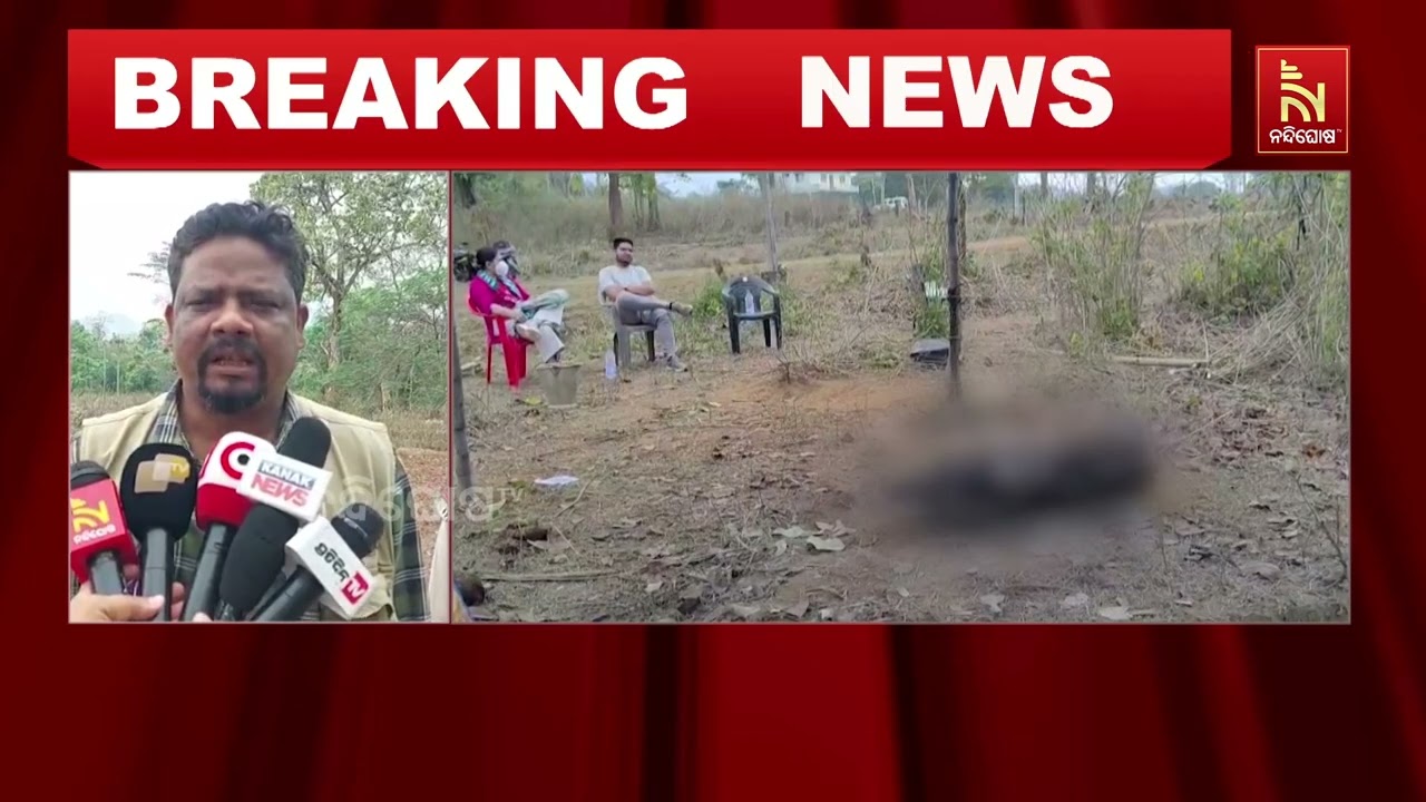 କଟକ ଜିଲ୍ଲା ନରସିଂହପୁର ପୂର୍ବ ବନାଞ୍ଚଳରେ ହାତୀ ମୃତ୍ୟୁ ।