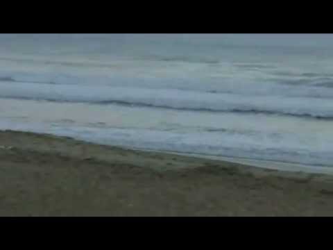 Não Peça Bis video