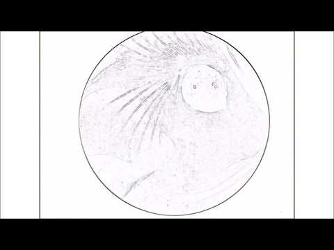 SUDELSKIZZEN  oo 04 47 min