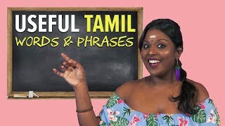 Basic Tamil Words & Phrases You Should Know By