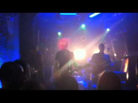 CHASM - The Feline Reminiscence