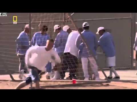 Gangs in Prison The War National Geographic Documentary