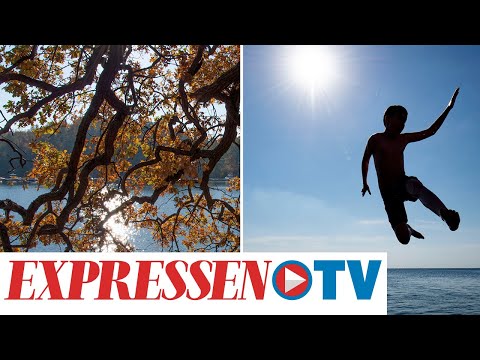 Medelhavsvärme och tropiska nätter – Så blir vädret i veckan