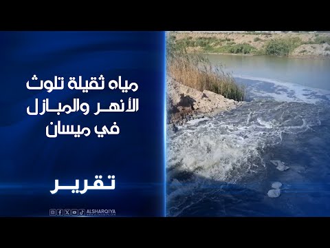 فيديو | مياه ثقيلة تلوث الأنهر والمبازل في ميسان