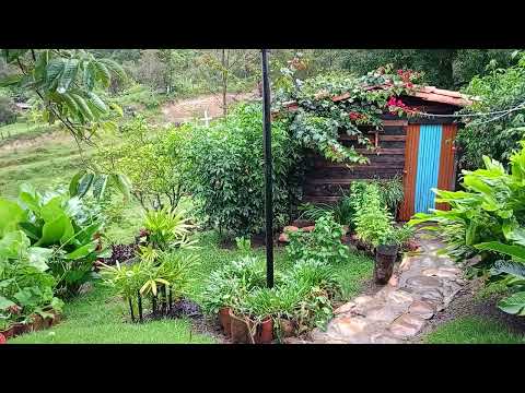 Día de lluvia en Encino Santander